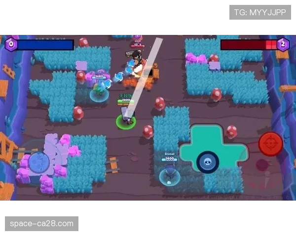 战术板拆解：灰熊如何利用杰克逊的护筐能力构建联盟顶级防守效率